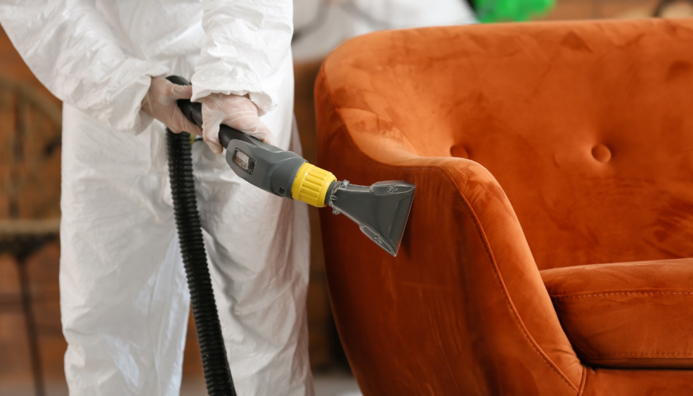 R.A.S Intervention - Professionnels reconnus de la dératisation et désinsectisation